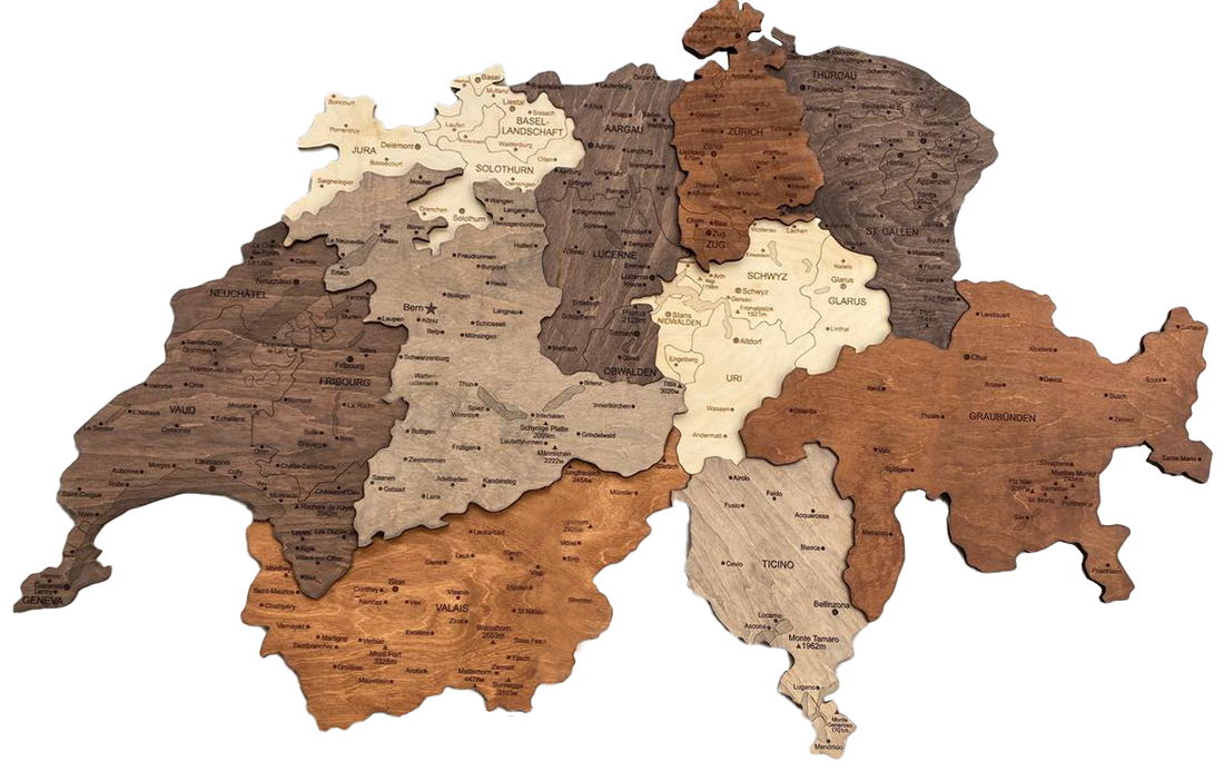 3D WOODEN MAP «MULTICOLOR»