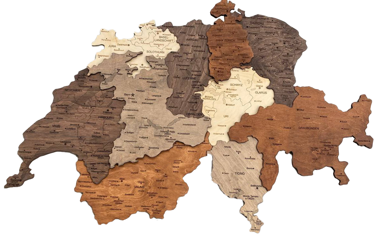 3D WOODEN MAP «MULTICOLOR»